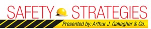 Safety Strategies logo